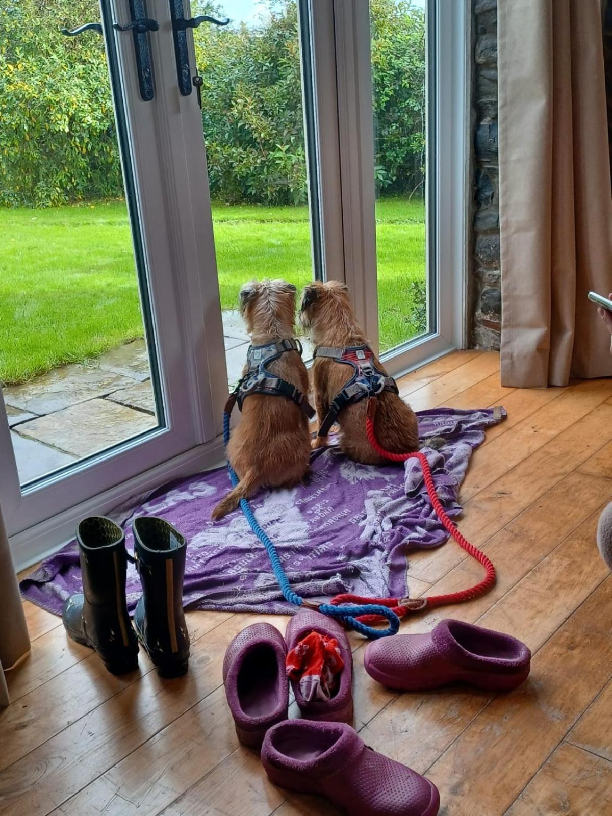Pippin Lodge Llanwrda Eksteriør billede