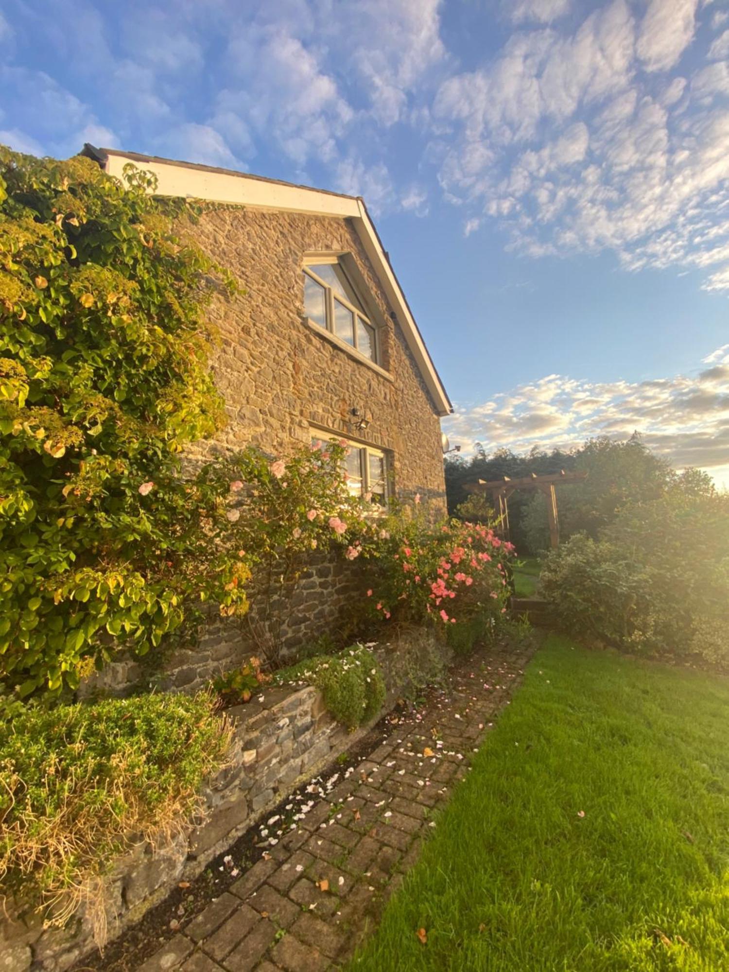 Pippin Lodge Llanwrda Eksteriør billede