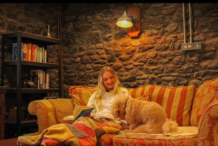 Pippin Lodge Llanwrda Eksteriør billede