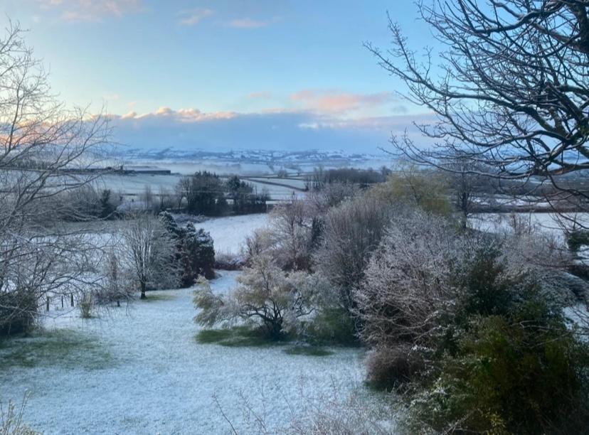 Pippin Lodge Llanwrda Eksteriør billede