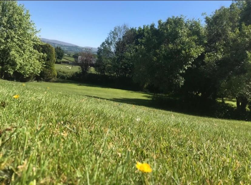 Pippin Lodge Llanwrda Eksteriør billede