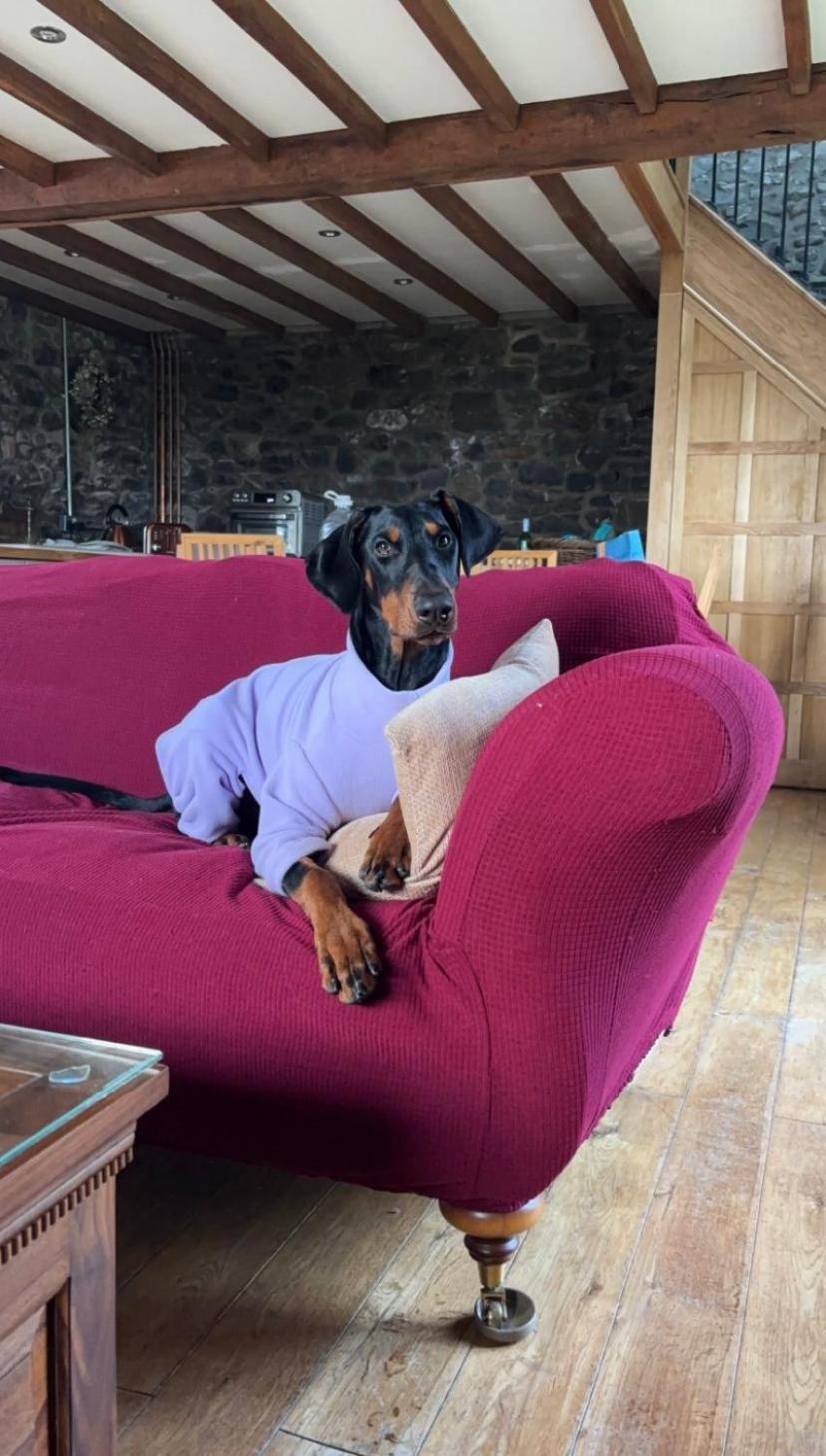 Pippin Lodge Llanwrda Eksteriør billede
